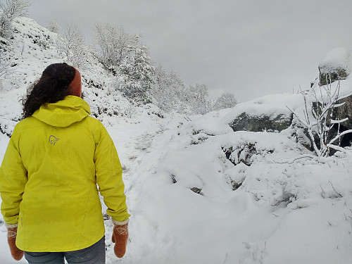#2: Making our way through the thin layer of snow towards the peak called Geitnausa.