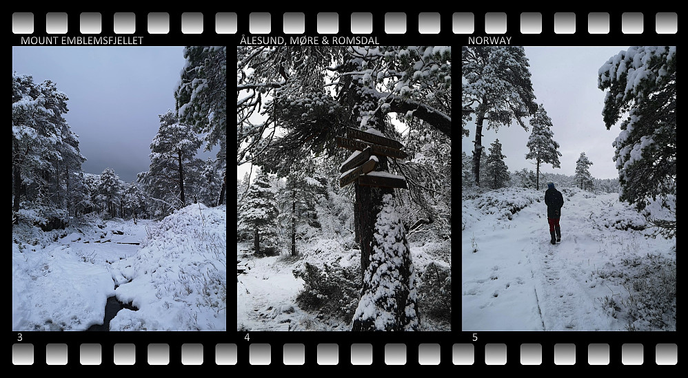 #3: A beautiful view may sometimes be deceptive. Though the snow may seem dry, the swampland beneath it was not frozen, and we had to take care where to step at places. #4: A "roadsign" at a crossroads of paths. #5: Me making my way towards the summit we had selected as our goal.