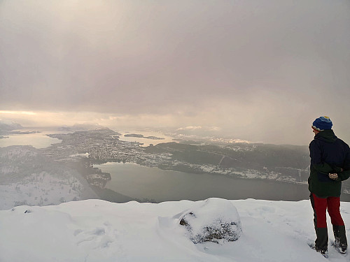 #8: View towards Spjelkavika and Ålesund.