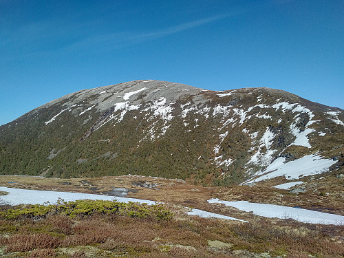 #3: Mount Oterfjellet as it appears when you're on your way to it.