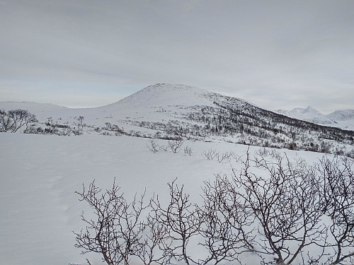 #2: Mount Littleskjerdingen, as seen once you're above the birch forest in Nakkedalen valley. Due to the wind, there wasn't very much snow on this mountain either.