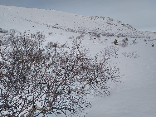 #3: Part of Mount Blåskjerdingen as seen as I was skiing towards the foot of Mount Litleskjerdingen.