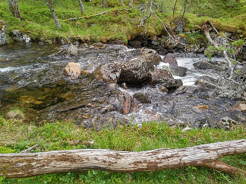 #2: River Eikeelva, the first river that I had to cross on this hike. I didn't find any trail down to the river, though, nor did I find any trail on the other side of it, or up the mountain side of Mount Byrkjevollhornet, but there were plenty of animal tracks, from deer and roe deer, that made it feasible to get through the birch forest.