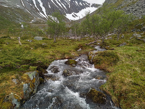 #6: The river Skjerdingselva, that runs through the valley of Skjerdinghola. This was the second river that I had to cross by jumping from stone to stone on this hike.