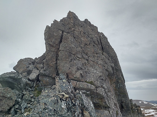 #11: The peak called Tindfjellpinakkelen (793 m.a.m.s.l.). This little peak on the ridge of the mountain wasn't too difficult to ascend when you're coming up the mountain ridge from the north. It was a bit more tricky to climb down the 26 elevation meters on the south side, seen in this image, and you need to do that in order to continue up the mountain ridge.