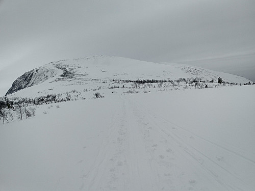 #2: Heading towards the summit of Mount Tarløysa. The knoll seen straight ahead is the North Peak of the mountain, whereas the main peak, is partially hidden behind it.
