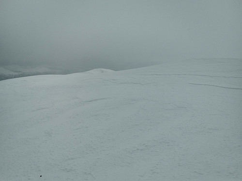 #5: View from the summit of Mount Tarløysa.