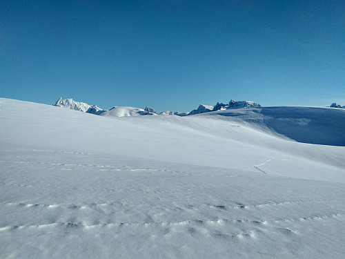 #8: Approaching the top of Mount Breivikheia.