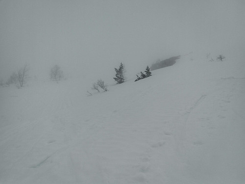 #4: From about 500 m.a.m.s.l. weather was foggy with not so good visibility.