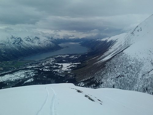 #2: View towards the fjord of Isfjorden from the western end of the mountain ridge called Steinberget (765 m.a.m.s.l.). 