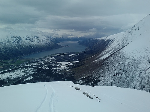 #2: View towards the fjord of Isfjorden from the western end of the mountain ridge called Steinberget (765 m.a.m.s.l.).