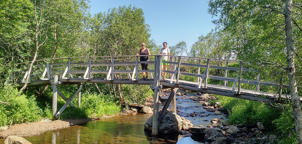 Image #1: My sister and my daughter on the bridge across the river Moaelva.