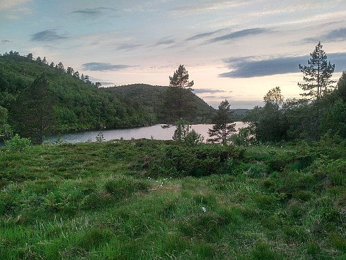 Bilde #16: Langevatnet, mellom Vasstrandfjellet og Kubbane.