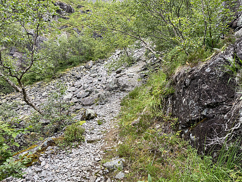 Image #7: The trail from Vikdalen Parking Lot up to Lake Svartebotsvannet is quite broad, and easy to follow.