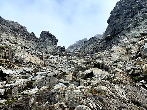 Image #22: One of several steep stony chutes leading up towards the summit of The Queen. There are a lot of loose stones, and even loose gravel in these chutes, but if you're a bit careful, you're likely to do fine.