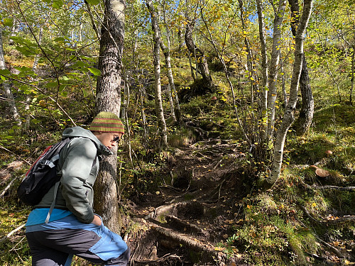 Image #1: The first part of the trail goes through (mainly) birch forest. At places where the trail is steep, the trees are convenient to hold on to.