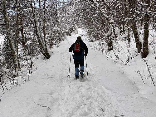 Image #3: The amount of snow on the road wasn't too bad, but still enough that we were happy we were having snow shoes on.