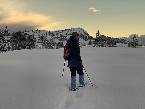 Image #5: Trekking with snow shoes towards the peak called Sperrenakken [but here on Peakbook it's for some reason called Østre Myklebusthornet].