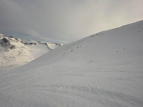 Image #19: A third image of the avalanche. Notice how a lot of snow are coming out of the snow to the right of the avalanche, because the snow layer is rather thin; whereas where the avalanche has taken place, there are now stones visible, as it's just the new snow that has slided off; whereas the snow from last season remains beneath.