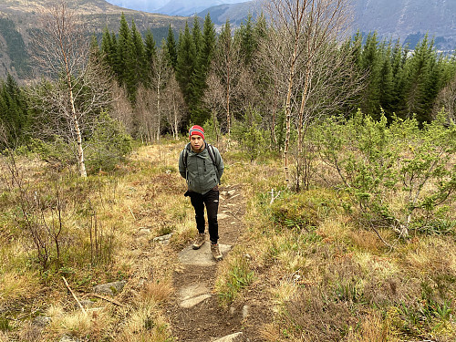 Image #2: Just getting out of the coniferous forest. The village of Ørsta is beneath the forest. This image was captured more or less from the same spot as the previous image.