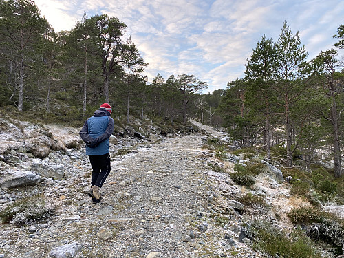 Image #2: The first part of the trail goes along a gravel road leading up to a lake called Heggdalsvatnet, located at 255 m.a.m.s.l.