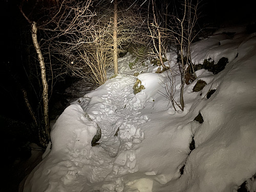 Image # 20: The trail back down from Breivikstølen towards Breivika parking lot, as seen in the light of a headlamp.