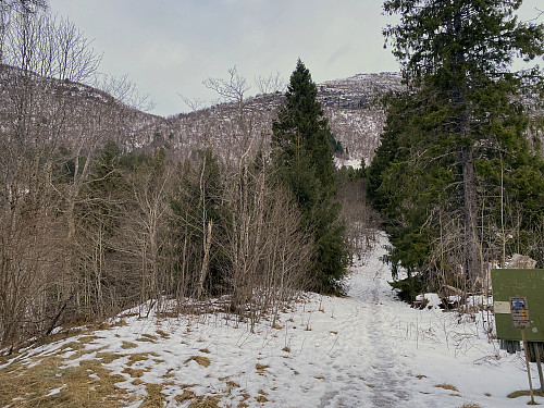 Image #3: The trail up the mountain side. You have to walk up to about 500 m.a.m.s.l., before you can start skiing.