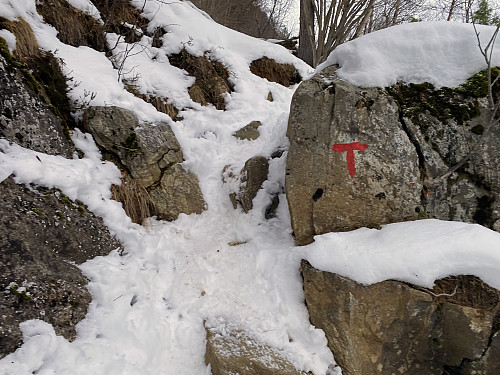Image #7: The trail was quite well marked out by T's on stones...