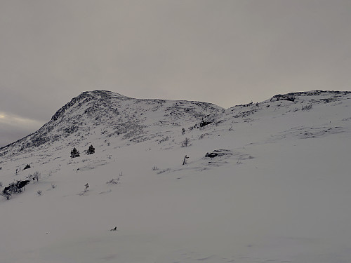 Image #15: View towards the west knoll of Mount Snortungen. (Here on peakbook this knoll is called ''Snortungen Vestre'' i.e. ''Western Mount Snortungen'').