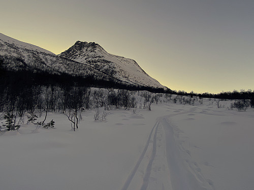 Image #1: There were nice ski trails that we could follow on this day. The mountain straight ahead is Mount Gamlestølsfjellet [1528 m.a.m.s.l.]. Part of Mount Hesten is seen to the left.