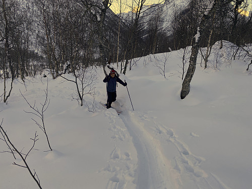 Image #2: My son Dag in the ski trail. The first part of the route up Mount Hesten [i.e. "The Horse"] goes through birch forest, part of which is located in rather steep slopes, varying between 25 and 35°.