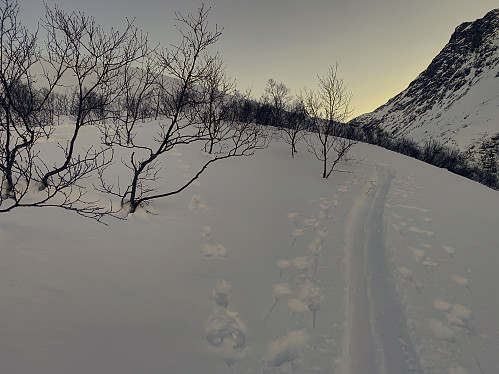 Image #4: A hare trail along the ski trail as we were approaching the hanging valley called Gjølbotnen between Mount Hesten (to the left) and Mount Gamlestølsfjellet (to the right).