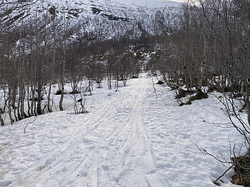 Image #2: Snow was a bit scarce in the lower parts of the route up to Mount Hesten [i.e. "The Horse"], due to rain and thawing during the last weeks. Nevertheless, along the trail, where people have been skiing, it was still sufficient.