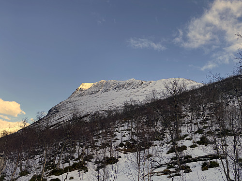 Image #15: Looking back up on Mount Hesten from the forest area as we were heading back down towards the parking lot.