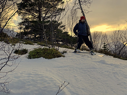 Image #16: Avoiding running into some of the trees is a bit challenging at places...