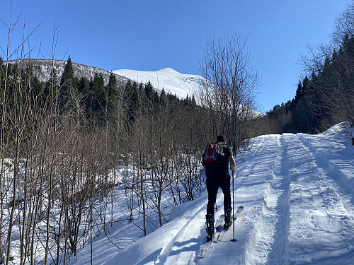 Image #2: The first part of our trail followed a mountain road that was currently covered by snow, and yet had some huge vehicle tracks.