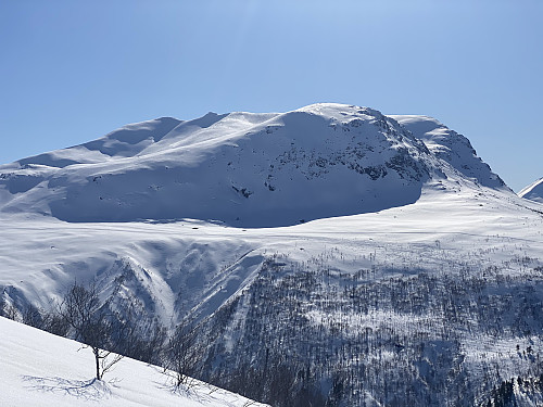 Image #6: View towards Mount Goksøyra [1377 m.a.m.s.l.], just on the opposite side of Kvidalen Valley.