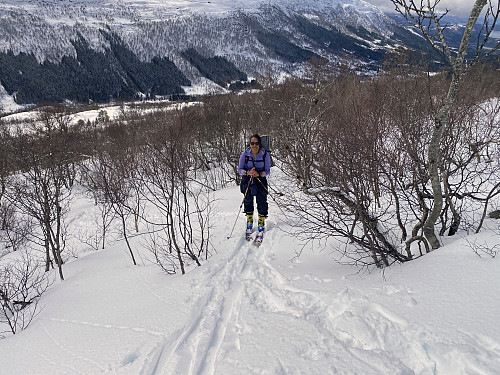 Image #3: On our way up through the forest in the mountainside of Mount Litleskjerdingen.