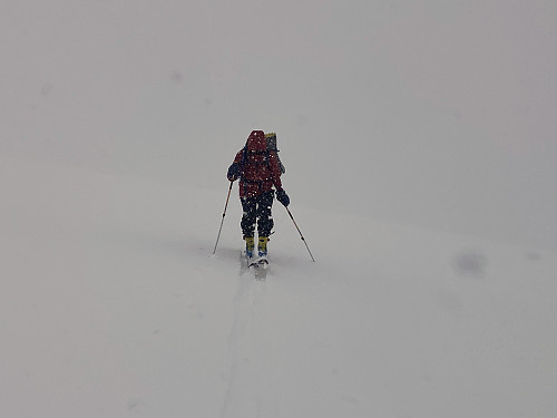 Image #9: As we were approaching 800 m.a.m.s.l., it all of a sudden started to snow heavily.