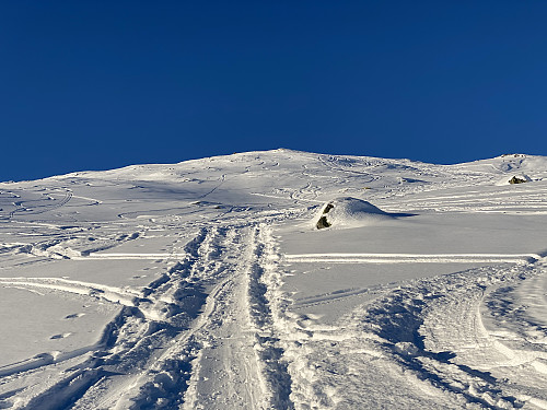 Image #7: Ski trails towards the summit of Mount Bergsetnakken. The summit is the "knoll" close to the right edge of the picture.