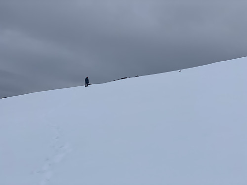 Image #21: Trekking through snow towards the top of Svartevassegga 889 ["Western Hornelen"]. We were holding to the left, in order to avoid dangerous snow shelves along the edge of the cliff that we were trekking along (outside of the right edge of this image).