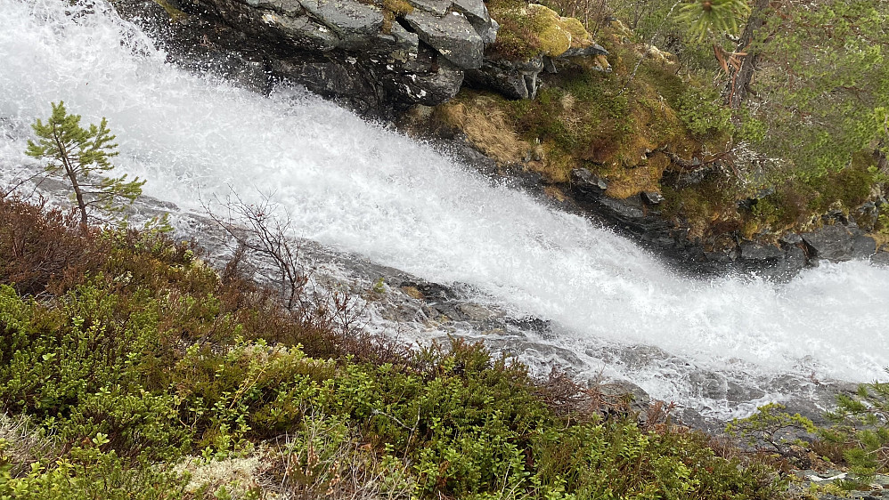 Image #3: A waterfall in the river Tverråa. Water is abundant in the river at this time, due to thawing of the snow in the mountains.