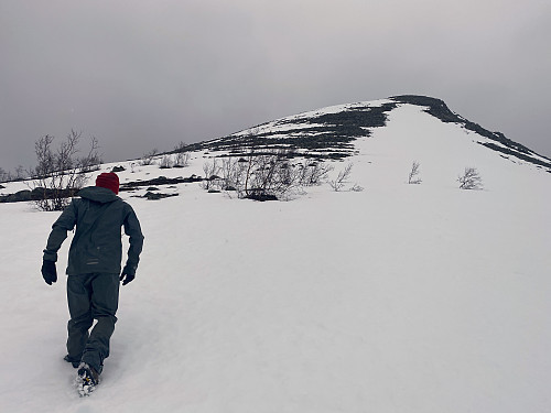 Image #5: Heading towards the ridge up to the summit of Mount Griseskolten, intending to climb up the strip that is free of snow.