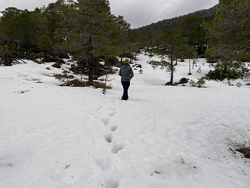 Image #3: On our way up, we crossed an area of rather deep snow soaked with water...