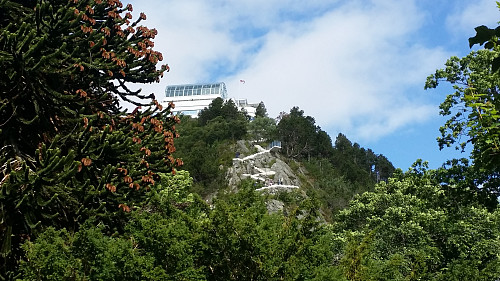 Trappa opp fra byparken til Fjellstua