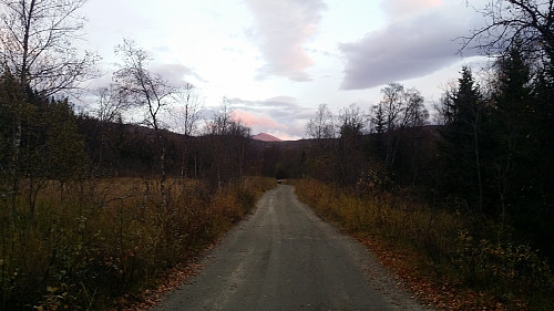 Fortsatt lyst i begynnelsen av turen.