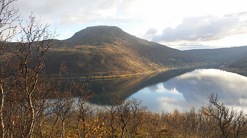 Utsikt mot Finnkollen og Sørfjorden fra Bærmarhaugen.