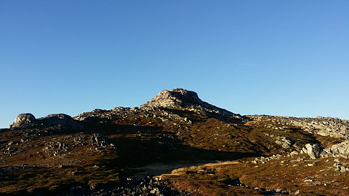 Toppen på vågsfjellet.