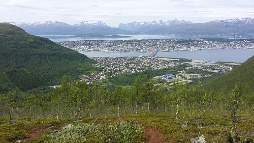 Utsikt mot Tromsøya og Tromsdalen på tur opp. Akkurat over tregrensen, ca 360 moh.