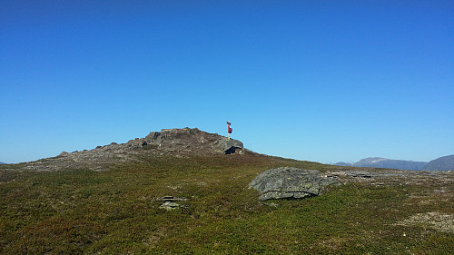Toppen på Snyfjellet med Ti på Topp turkasse.